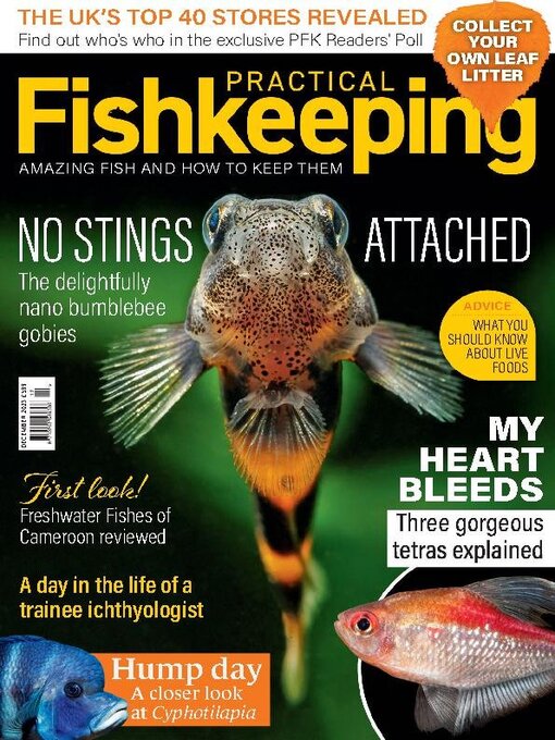 Title details for Practical Fishkeeping by Warners Group Publications Plc - Available